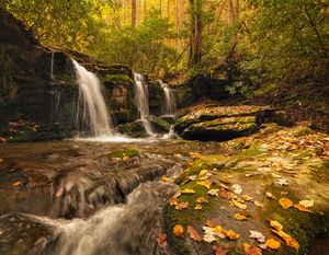 Rhododendron Creek Autumn in the Great Smoky Mountains