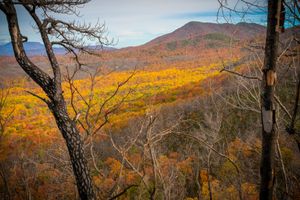 Mt Winnesoka in the Great Smoky Mountains