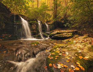 Rhododendron Creek Autumn in the Great Smoky Mountains