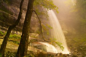 Rainbow Falls In Fog in the Great Smoky Mountains