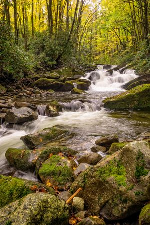 A Little More Little River in the Great Smoky Mountains