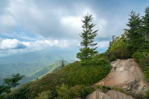Myrtle Point Summer Afternoon I in the Great Smoky Mountains