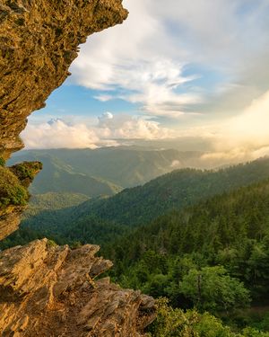 After The Rains Portrait in the Great Smoky Mountains