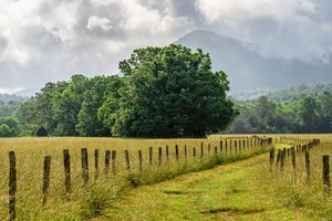 Back To The Barn IV in the Great Smoky Mountains