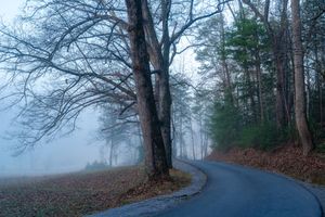 Morning On The Loop in the Great Smoky Mountains
