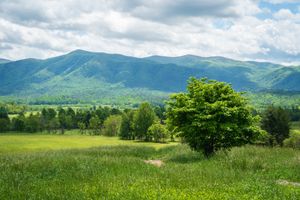 Summer Afternoon Overlook in the Great Smoky Mountains