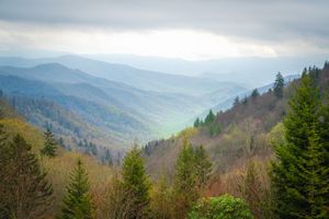 Spring Oconaluftee Overlook in the Great Smoky Mountains
