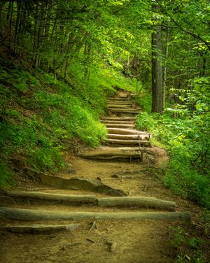 AT at Newfound Gap in the Great Smoky Mountains