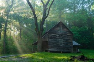Morning At The Tipton Place in the Great Smoky Mountains