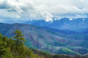 Early Spring on the Foothills Parkway in the Great Smoky Mountains