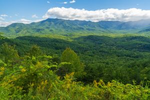 Fpe September in the Great Smoky Mountains