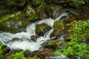 Kephart Prong in the Great Smoky Mountains